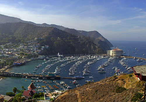 Chartering a Private Jet to Avalon Bay