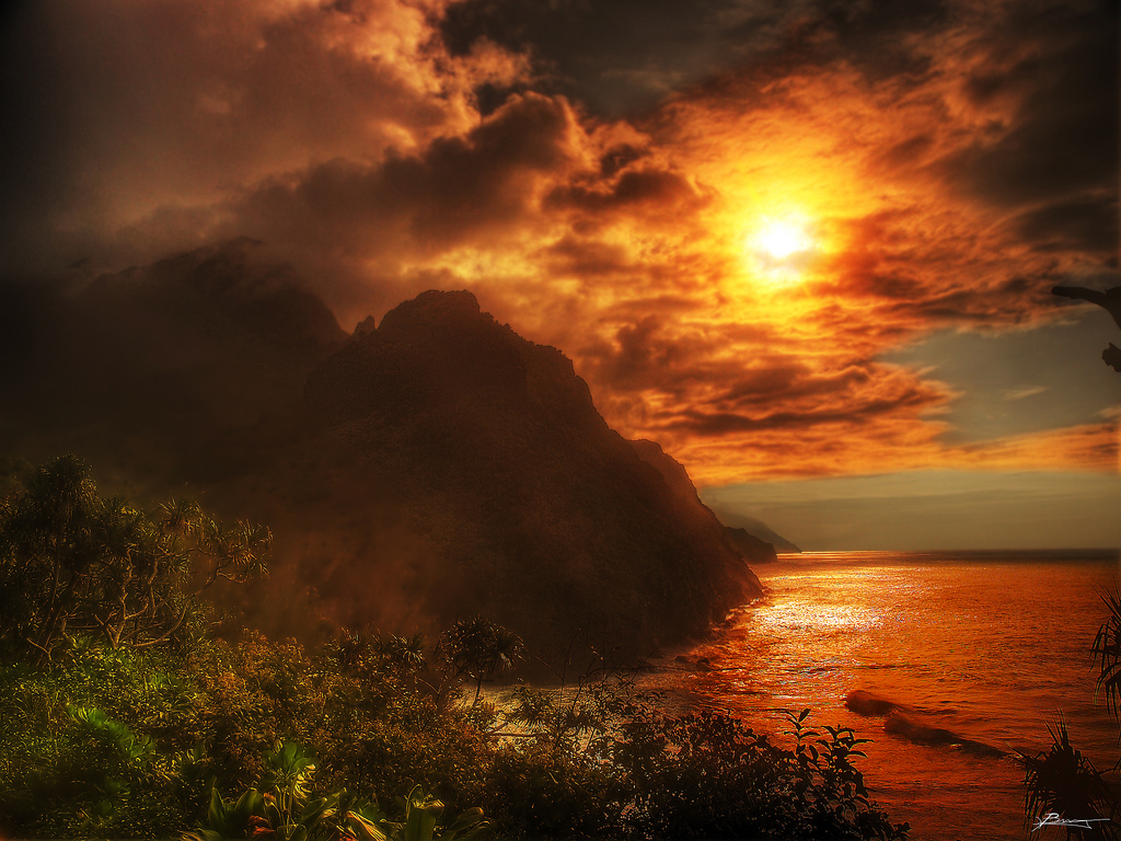 Charter a Jet to Hawaii for the Best U.S. Coffee Brew Photo by Paul Bica
